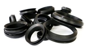 Oil Seals